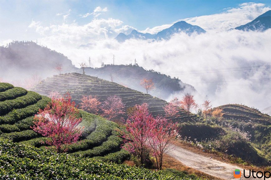 Đến Sapa chơi gì?